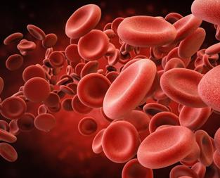 blog/how-to-increase-your-platelet-count-naturally