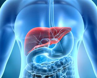 blog/symptoms-causes-and-treatment-of-liver-failure