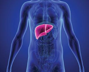 blog/what-is-lung-cancer