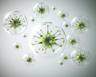 blogbacterial-infection-diseases-treatment-types-and-symptoms