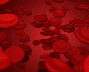 blog/what-are-the-common-causes-of-a-low-platelet-count